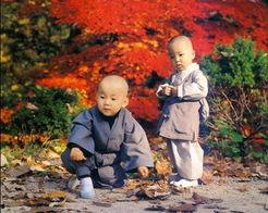 少林取名搞笑,从武林圣地到搞笑乐园的华丽转身