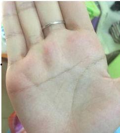 断掌的女明星有哪些人,命运多舛的人生传奇