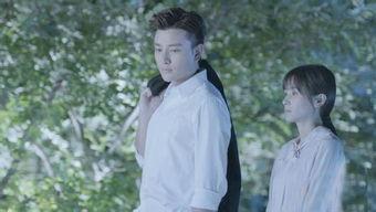 娱乐圈的那些剧情cp,那些让人心动的剧情CP大盘点